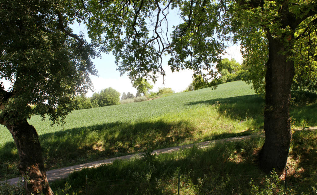 Residenze L'alberata